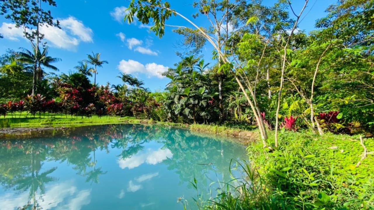 Blue River Resort & Hot Springs Liberia Dış mekan fotoğraf