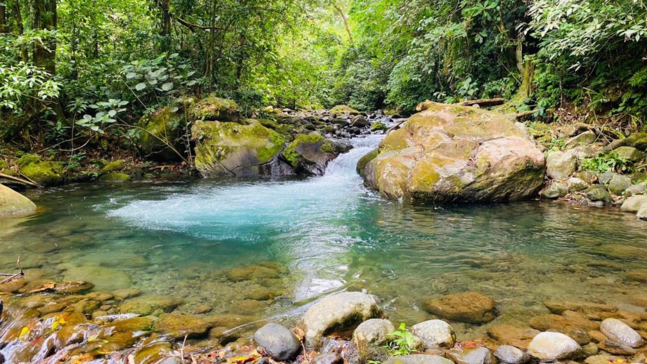 Blue River Resort & Hot Springs Liberia Dış mekan fotoğraf