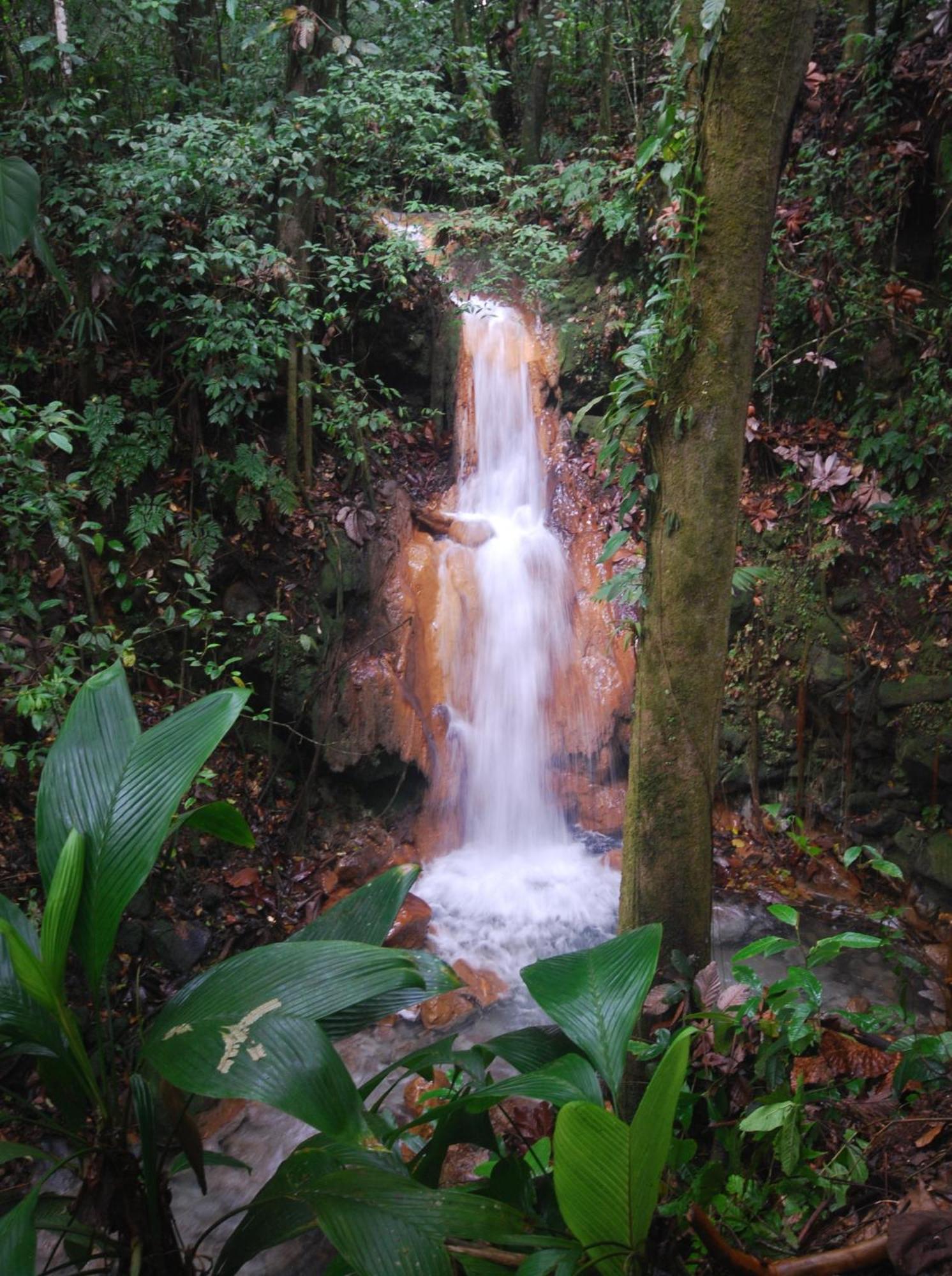 Blue River Resort & Hot Springs Liberia Dış mekan fotoğraf