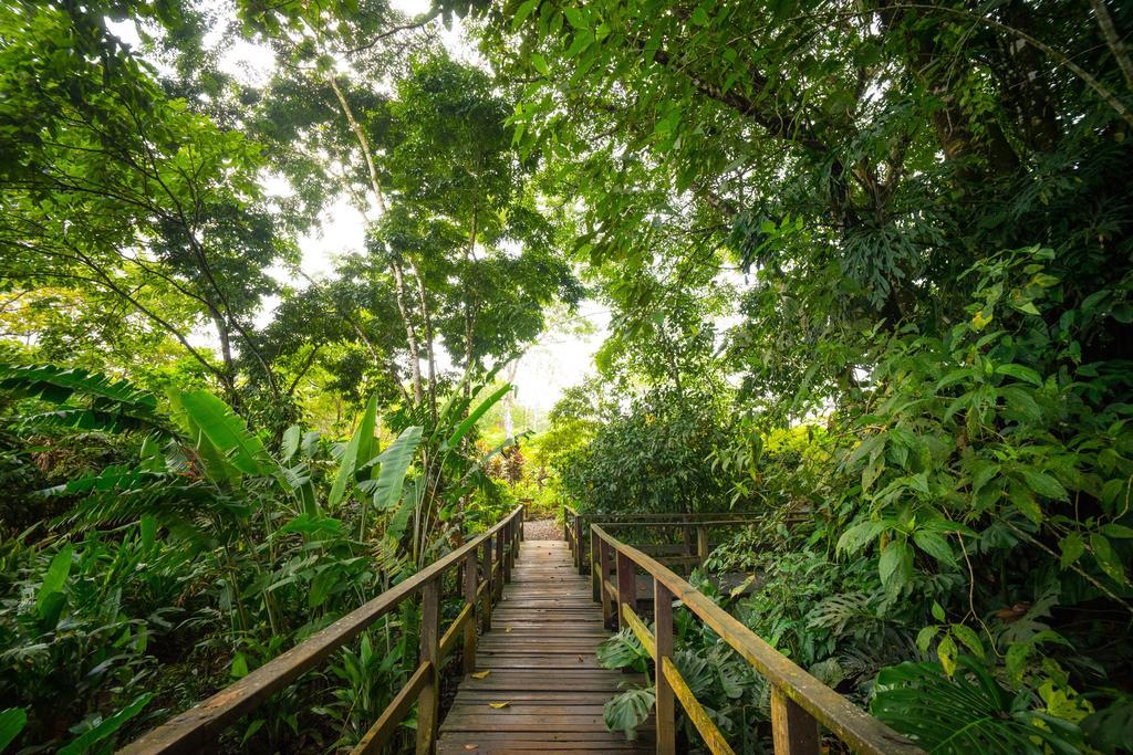 Blue River Resort & Hot Springs Liberia Dış mekan fotoğraf