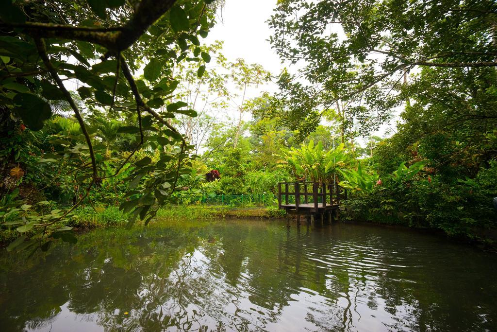 Blue River Resort & Hot Springs Liberia Dış mekan fotoğraf