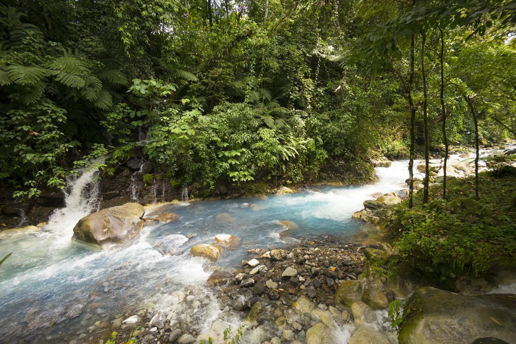 Blue River Resort & Hot Springs Liberia Dış mekan fotoğraf