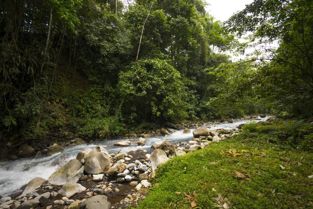 Blue River Resort & Hot Springs Liberia Dış mekan fotoğraf