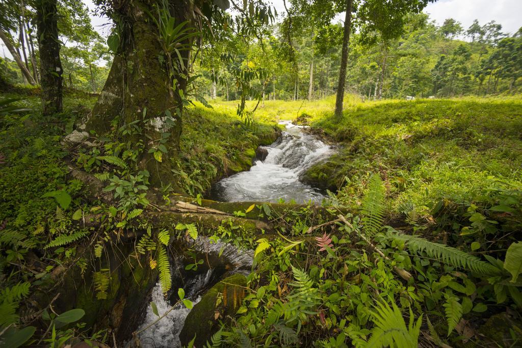 Blue River Resort & Hot Springs Liberia Dış mekan fotoğraf