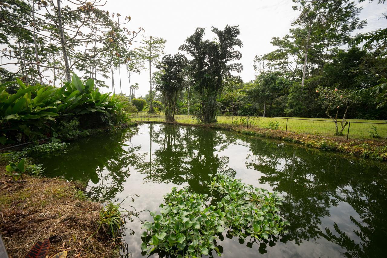 Blue River Resort & Hot Springs Liberia Dış mekan fotoğraf